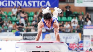 gam sfe09614 copia simone ferraro pha